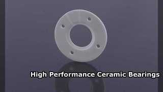 Soluzioni di cuscinetti in ceramica di allumina ad alta precisione